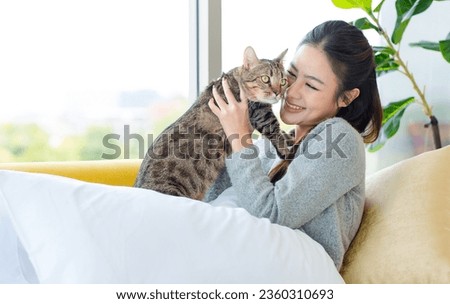 Asian young pretty cheerful female girl in sweater laying lying down with pillows on cozy sofa couch smiling look at camera holding little cute domestic short hair tabby companion pet cat.