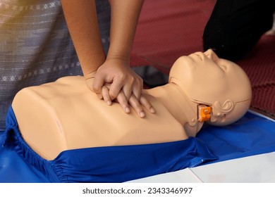 Asian Young Red Cross students practice CPR with a manikin during a training course on helping patients who are dying to breathe back to breathing. or breathing can circulate normally.                
