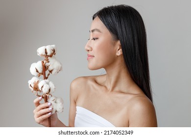 Asian Young Woman With Cotton Plant Standing In Studio