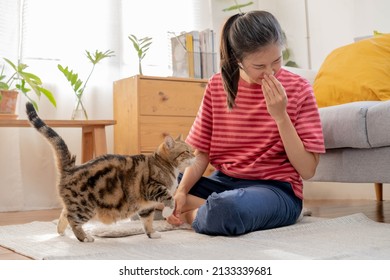 Asian Young Woman, Girl Hand In Sneezing From Fur Allergy While Playing With Her Lovely Cat, Pet On Carpet In Living Room At Home, Apartment. Health Care Rhinitis Diseases Allergic To Animal Hair.