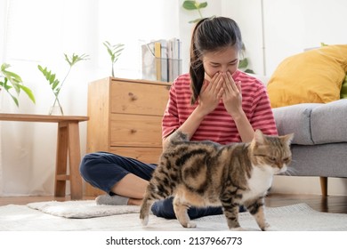 Asian Young Woman, Girl Hand In Sneezing From Fur Allergy While Playing With Her Lovely Cat, Pet On Carpet In Living Room At Home, Apartment. Health Care Rhinitis Diseases Allergic To Animal Hair.