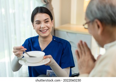 Asian Young Woman Nurse At Nursing Home Taking Care Of Disabled Senior Elderly Man On Wheelchair. Beautiful Therapist Doctor Serving Food To Older Patient In House. Medical Insurance Service Concept.