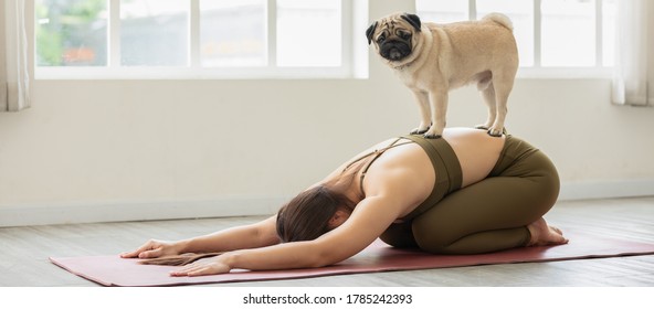Asian young woman practice yoga with dog pug breed enjoy and relax with yoga at home,Recreation with Dog Concept