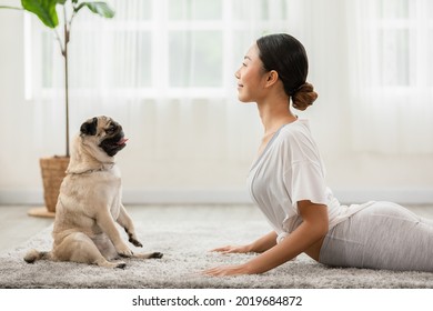 Asian Young Woman Practice Yoga With Dog Pug Breed Enjoy And Relax With Yoga In Bedroom,Healthy Girl Doing Yoga Cobra Pose Exercise With Dog Together,Recreation Yoga With Dog Concept