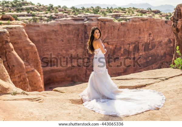 Asianvietnamese Bride Her Wedding Dress Taken Stock Photo Edit