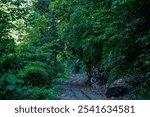 Askew railtracks of Sabah State Railways curling through the rainforest in the narrow Padas River Valley from Beaufort to Tenom in Sabah, Malaysia; the train also labelled "Jungle Train"