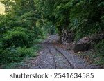 Askew railtracks of Sabah State Railways curling through the rainforest in the narrow Padas River Valley from Beaufort to Tenom in Sabah, Malaysia; the train also labelled "Jungle Train"