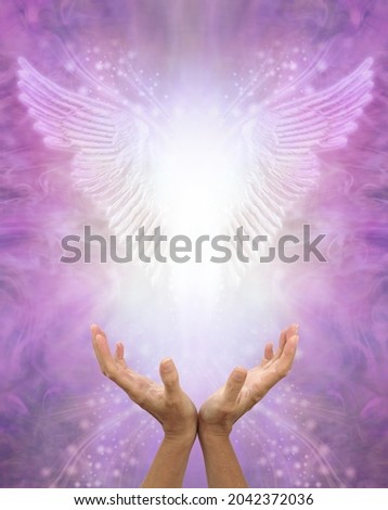 Asking for Angel Healing Message Background - Female hands cupped upwards towards beautiful Angel wings on an ethereal pink purple background with space for text
