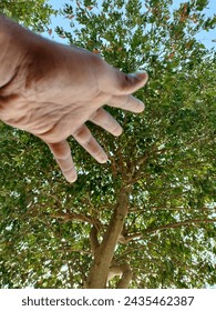 asking help from a tree mobile click 