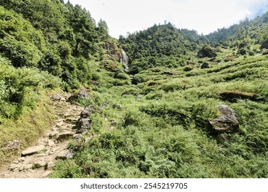 Asmall waterfall cascades from the rocky hillsides through the thick mountain forests of lower himalayas near Lukla,Nepal - Powered by Shutterstock