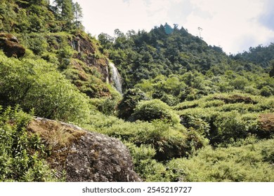 Asmall waterfall cascades from the rocky hillsides through the thick mountain forests of lower himalayas near Lukla,Nepal - Powered by Shutterstock