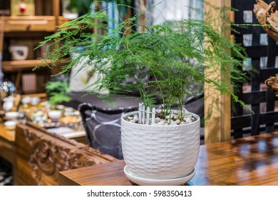 asparagus