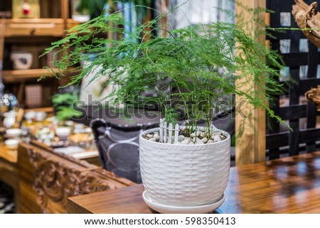 asparagus