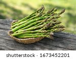 Asparagus. Fresh Asparagus. Pickled Green Asparagus. Bunches of green asparagus in basket, top view- Image