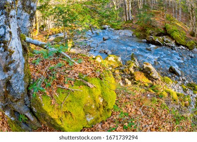 Aspe Valley, Pyrénées National Park, Parc National Des Pyrénées, Pyrénées-Atlantiques, Pyrenees, Nouvelle-Aquitaine, France, Europe