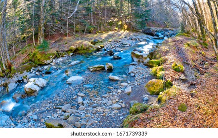 Aspe Valley, Pyrénées National Park, Parc National Des Pyrénées, Pyrénées-Atlantiques, Pyrenees, Nouvelle-Aquitaine, France, Europe