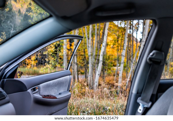 Aspen, Colorado mountain\
forest and car interior view in October 2019 and vibrant trees\
foliage autumn
