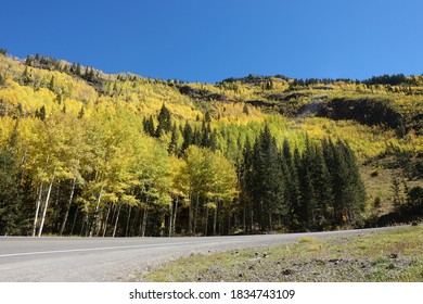 Aspen In Colorado Red Mountain Pass