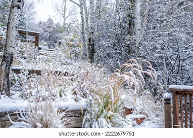 Aspen Colorado Steps Landscaping Covered In Winter Snow Terraced Along Wooden Stairs Architecture At Garden Backyard Of House Or Home