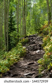 Aspen Hiking