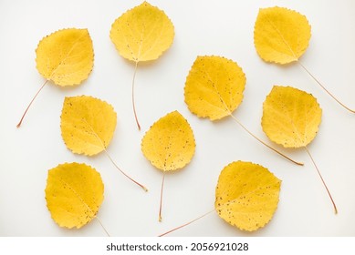 40,066 Aspen Leaf Background Images, Stock Photos & Vectors | Shutterstock