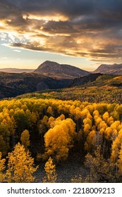 An Aspen and Mountain landscape during the peak Autumn Season.  This aspen grove continues for miles and is the largest in the world. Mountains and the fall sunset complete this image - Shutterstock ID 2218009213