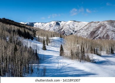 Aspen Trees And Pine Trees Line The Slopes At The Aspen Snowmass Ski Resort, In Snowmass Village, In The Rocky Mountains Of Colorado. 