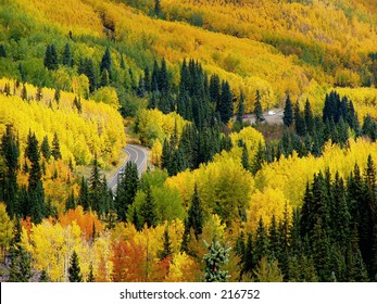 Aspens, Million Dollar Highway, Colorado