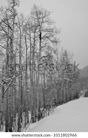 Similar – Image, Stock Photo jaw Environment Nature