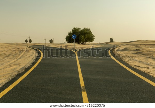Asphalt bicycle path in the desert, the road divide\
tree in the middle. Sport in the desert. Advertising concept. Place\
on bodycopy. Road in the desert covered in sand, Emirate of Abu\
Dhabi, UAE.