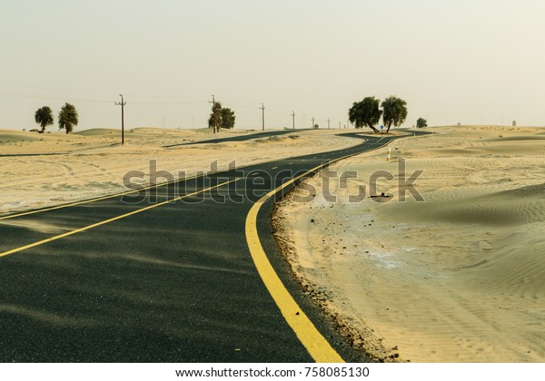 Asphalt\
bicycle path in the desert, the road divide tree in the middle.\
Sport in the desert. Advertising concept. Place on bodycopy. Road\
covered in sand, Emirate of Abu Dhabi,\
UAE.