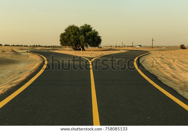 Asphalt\
bicycle path in the desert, the road divide tree in the middle.\
Sport in the desert. Advertising concept. Place on bodycopy. Road\
covered in sand, Emirate of Abu Dhabi,\
UAE.