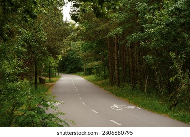 Asphalt bicycle path through dense green forest in summer, outdoor cycling infrastructure, eco tourism trail, recreational forest pathway, active lifestyle and green nature commute