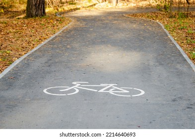 Asphalt Bike Path In The Autumn Park. Bicycle Icon On The Road In A Pine Forest. Dedicated Track For Sports. Comfortable Urban Environment. Symbol Of Cycle Paths On The Pavement