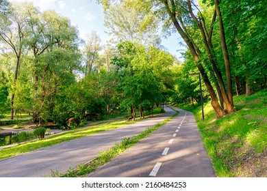 An Asphalt Bike Path Leads Through A City Park Among Trees With Green Leaves. Place For Sports Recreation. Evening Summer Lighting. Sarzhin Yar Park, Kharkiv, Ukraine.