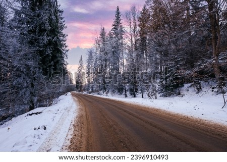 asphalt country road through fir forest in evening light. carpathian winter scenery