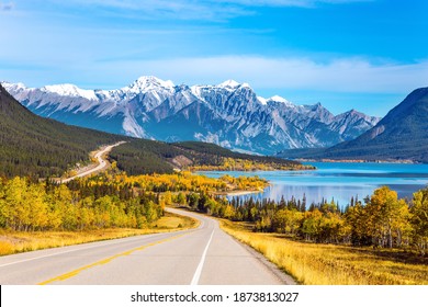 Asphalt highway leads to Abraham Lake in the Canadian Rockies. The yellow foliage of birches and aspens is mixed with green conifers. The first snow has already fallen on the peaks - Powered by Shutterstock