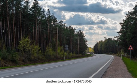 Forest Road High Res Stock Images Shutterstock