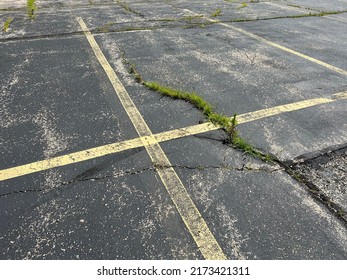 Asphalt Parking Lot In Need Of Repair.