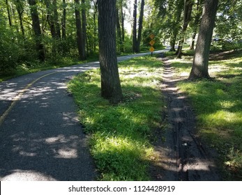 Asphalt Path Or Trail With Shortcut Path Through The Dirt And Grass