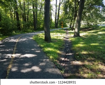 Asphalt Path Or Trail With Shortcut Path Through The Dirt And Grass