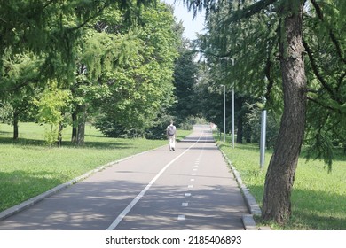 Asphalt Paths In An Open Green Landscape Park, Kolomenskoye, August 2022