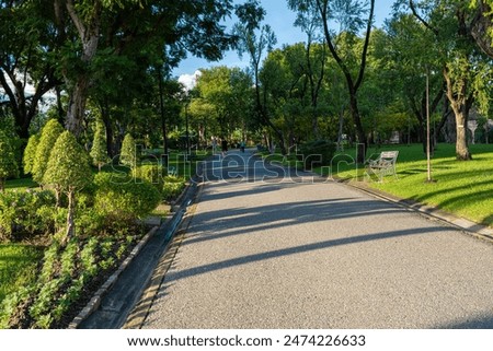 Asphalt pathway road in city green tree park sunset nature landscape