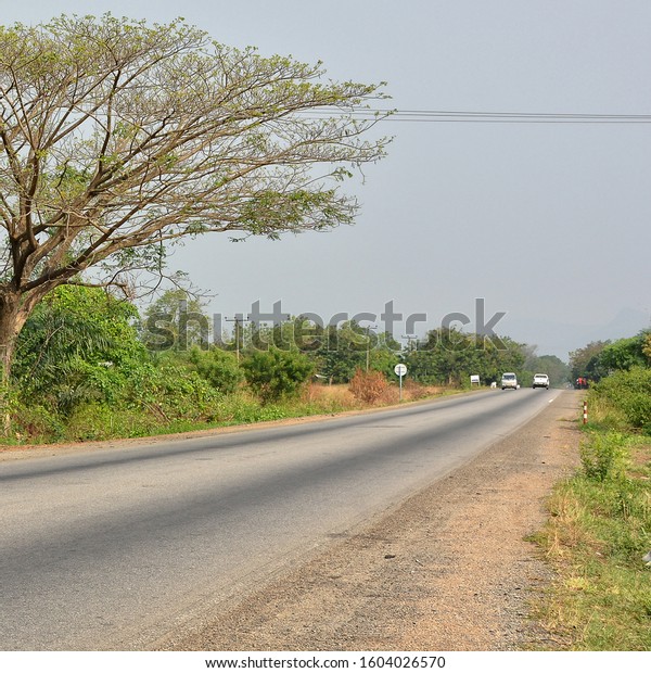 Asphalt\
road. African nature. Palm trees and baobabs.\

