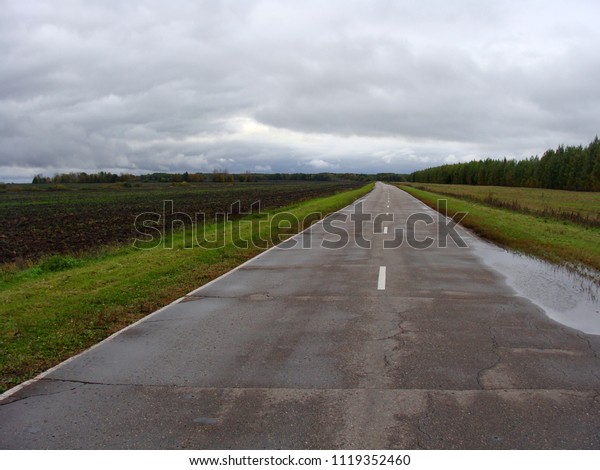 Asphalt road after\
the rain. Beautiful flat landscape with low rain clouds, green\
forest in the distance, straight asphalt highway and puddles after\
rain on the side of the\
road.