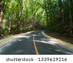 Asphalt road in amazing man-made Mahogany forest of Loboc and Bilar at Bohol, Philippines. November, 2018