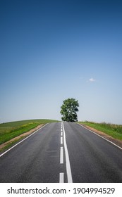 An Asphalt Road Among Meadows Leading To A Large Tree On The Horizon. Beautiful Summer Landscape With Blue Sky, Greenery And A Tree On The Hill. Minimalism, Transport Links, Travel Concept.