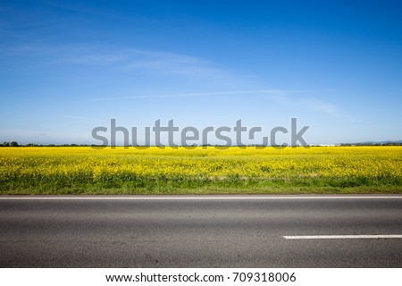Asphalt road among the summer field. Beautiful countryside landscape