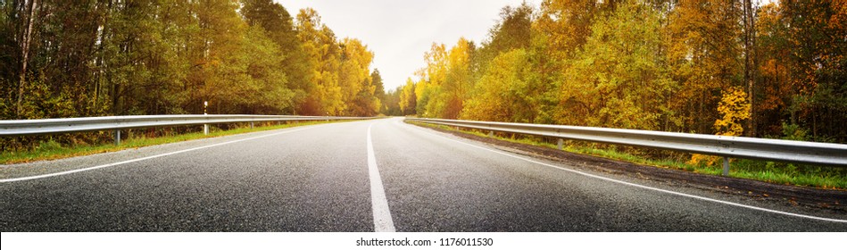 asphalt road with beautiful trees on the sides in autumn