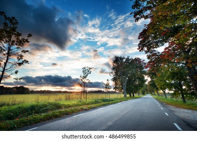 asphalt road with beautiful trees on the sides in autumn. Car moving on highway at sunset